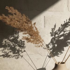 Terra Decorado 2