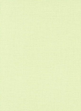 Raizes – 10140-35