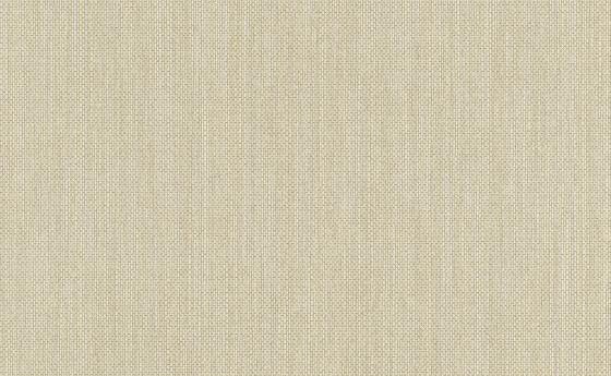 Raizes – 6309-02