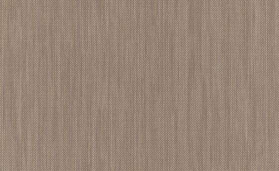 Raizes – 6309-11