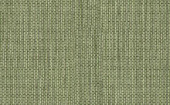 Raizes – 6309-36