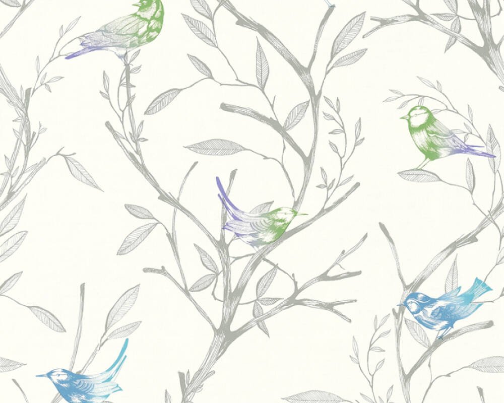 Colibri 366231