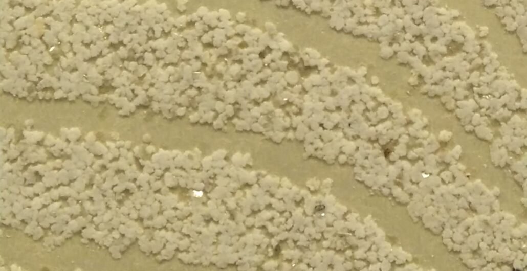 Mica JVN – AP8014_1