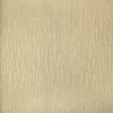 Bright Wall Y6130201