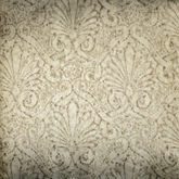 Bright Wall Y6131304