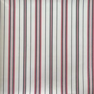 Classic Stripes ct889048