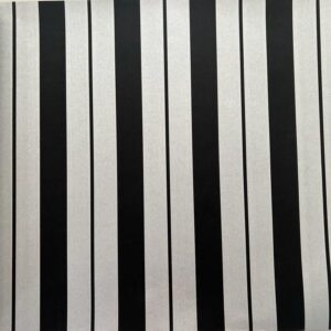 Classic Stripes ct889072