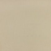 Texture World - 651301