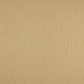 Texture World - H2990305