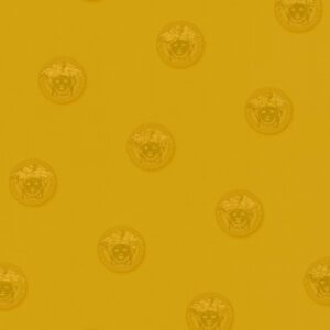 Versace 3 - p-348624